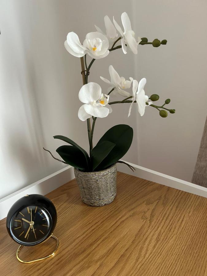 Mansarda Luxury Apartment
